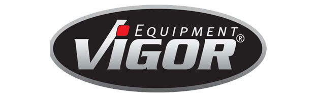 ویگور ویگور